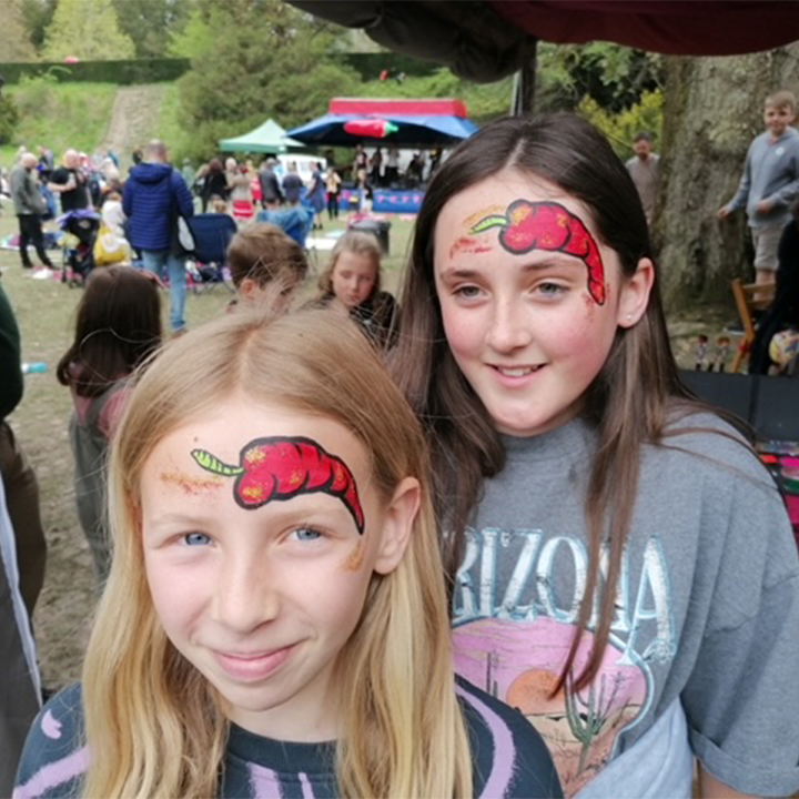 Fun face painting design at the Eastnor Castle Chilli Fest